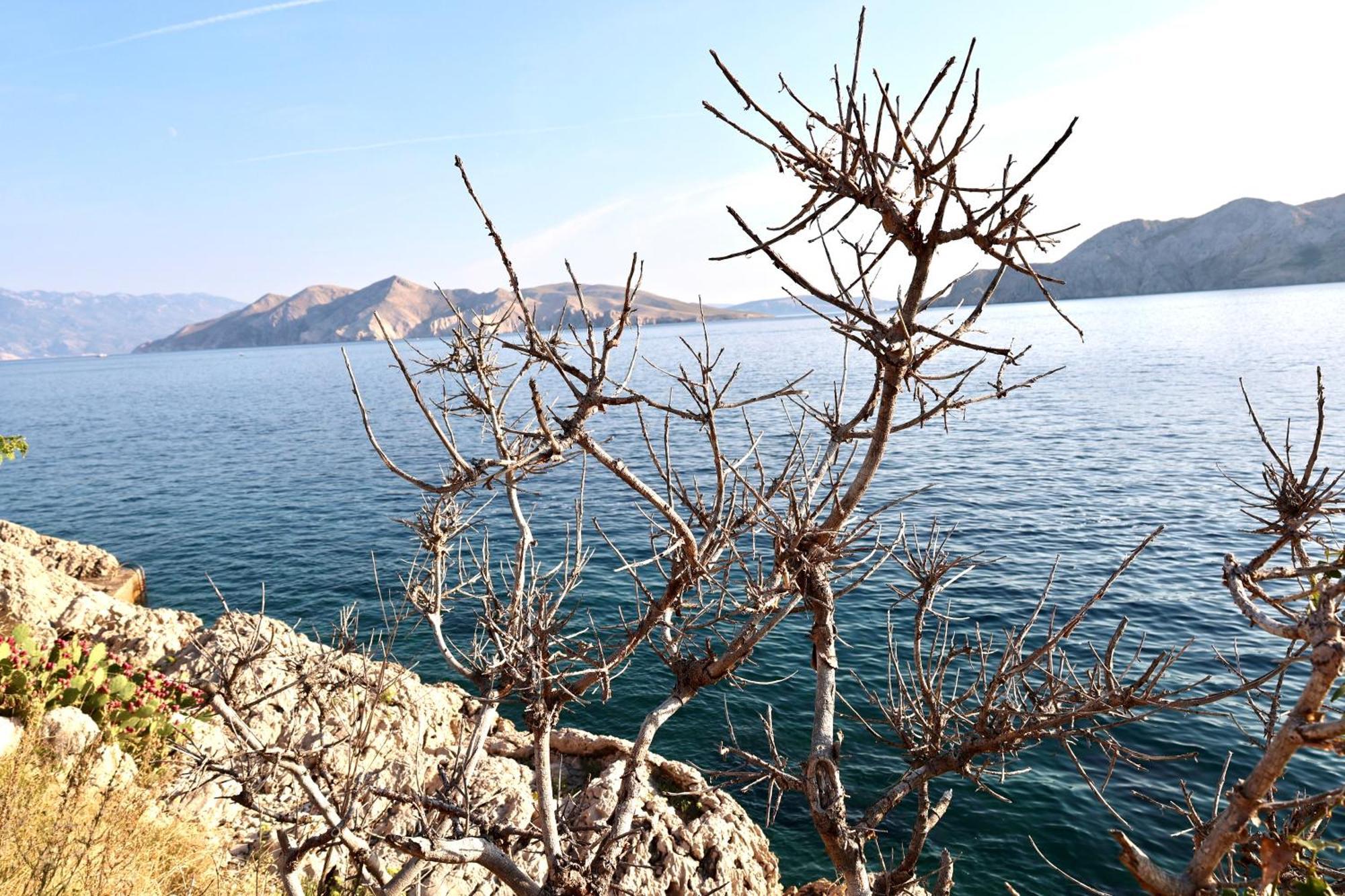 Villa Perla Baska Εξωτερικό φωτογραφία